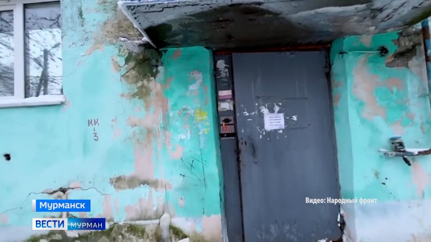 Полчища насекомых, плесень и скачки электричества: жильцы мурманской пятиэтажки борются за собственную безопасность