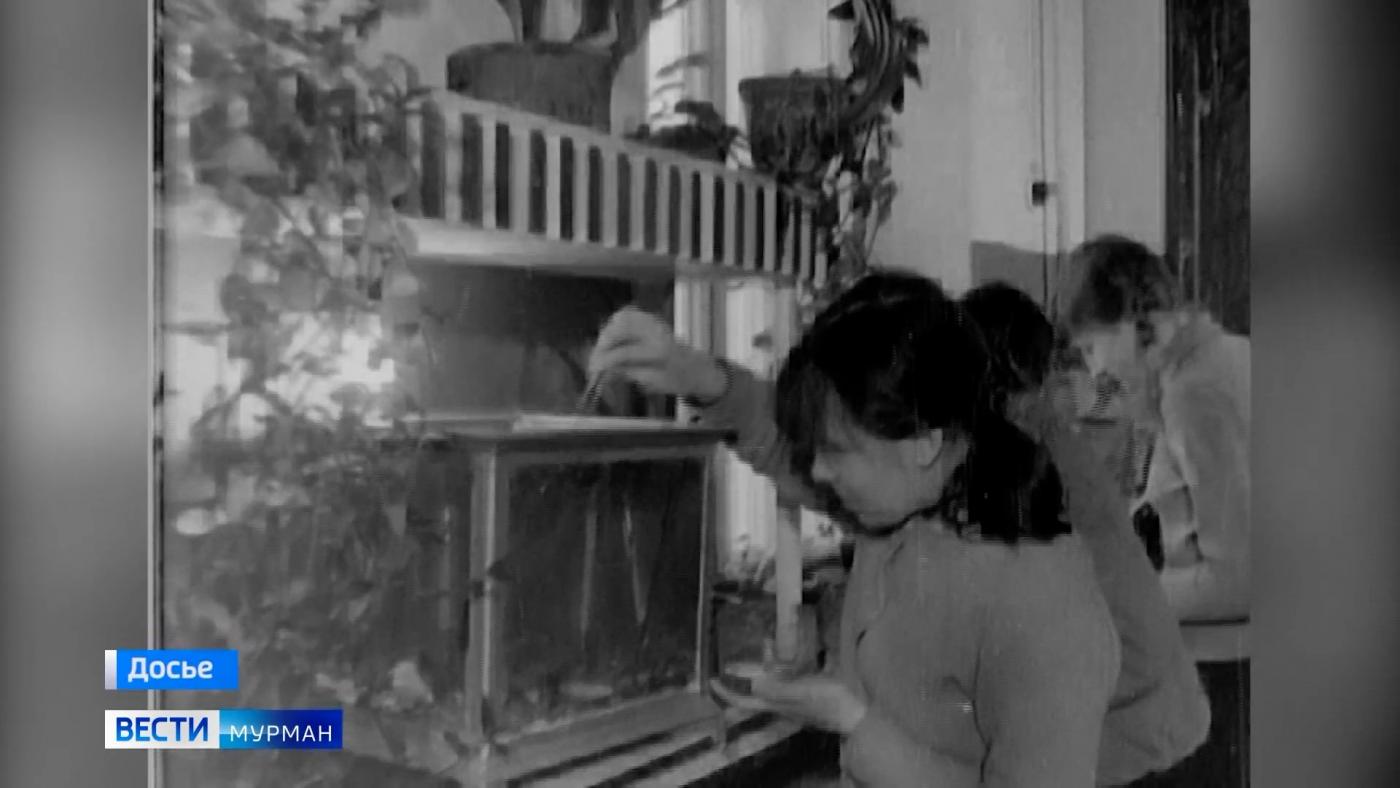 Вопросы организации досуга мурманчан в прошлом столетии обсудили на площадке областного Госархива