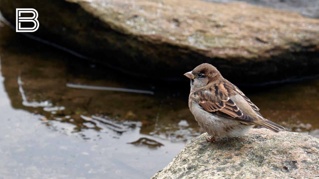 Прогноз погоды в Мурманской области на 30 ноября