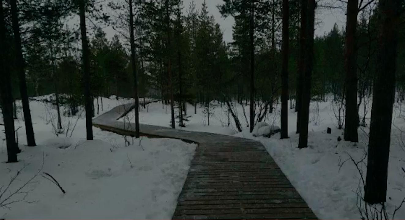 Освещение на тропе &quot;Беличий хвост&quot; в Мурманске установят до конца года