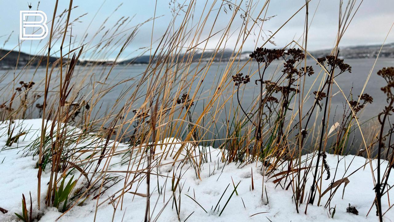 Прогноз погоды в Мурманской области на 2 декабря