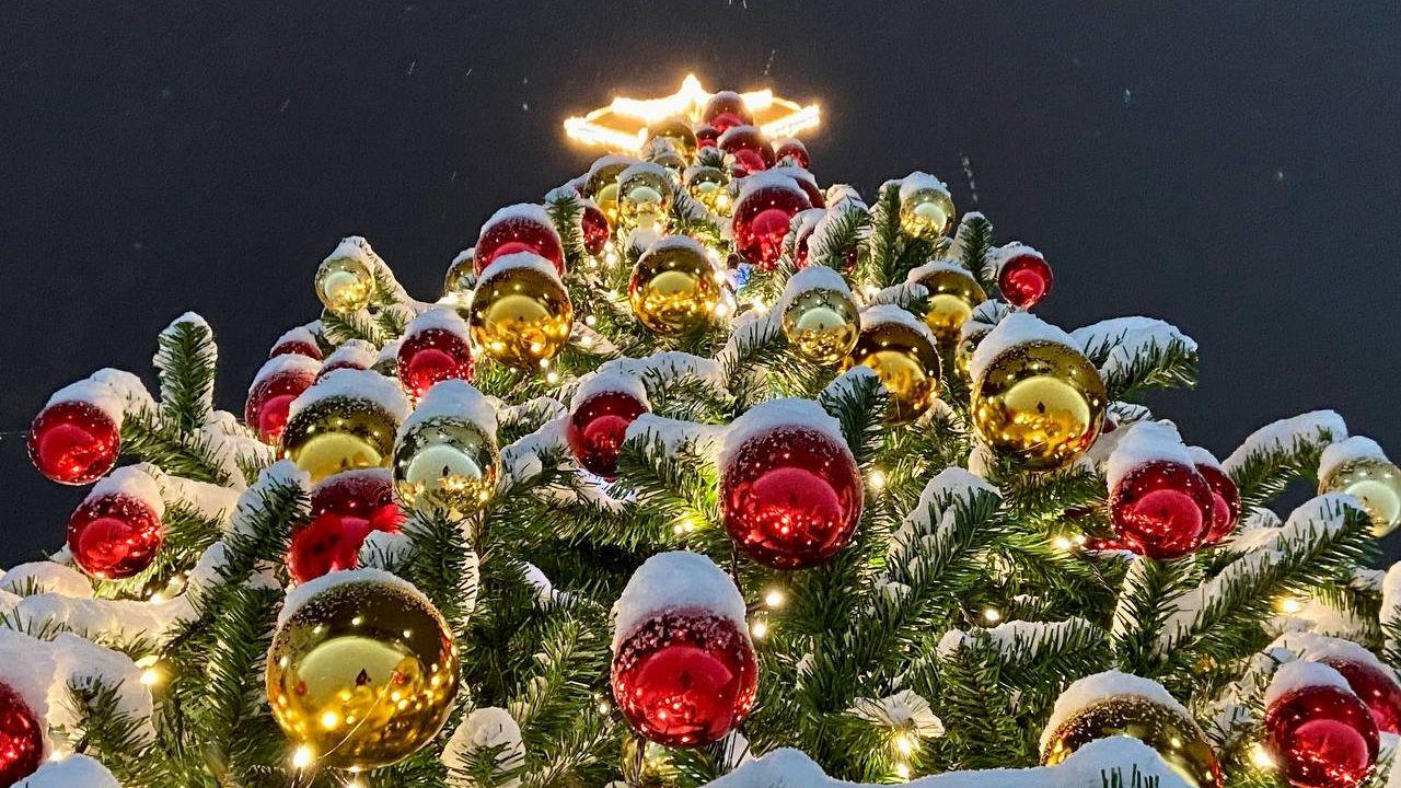 В городском парке Североморска появилась еще одна новогодняя елка 