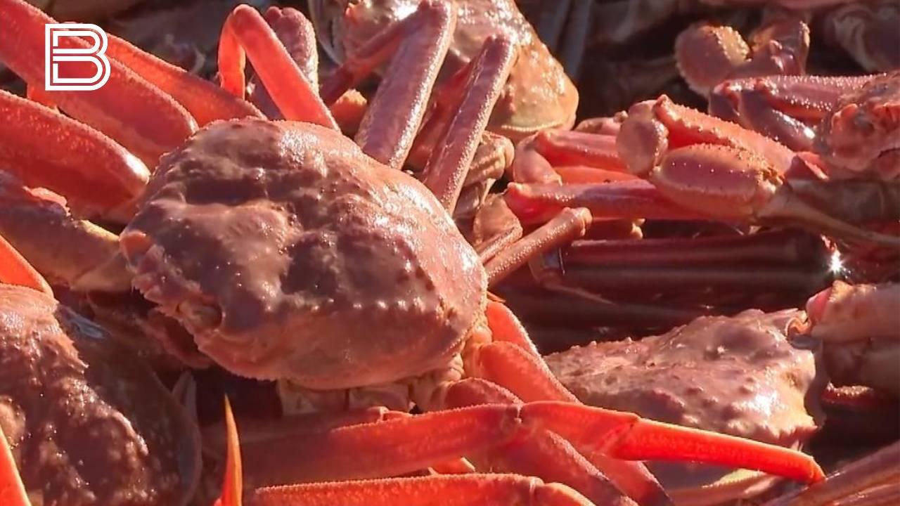 "Деликатесное" мошенничество: житель Полярного обманывал покупателей несуществующей икрой и крабом