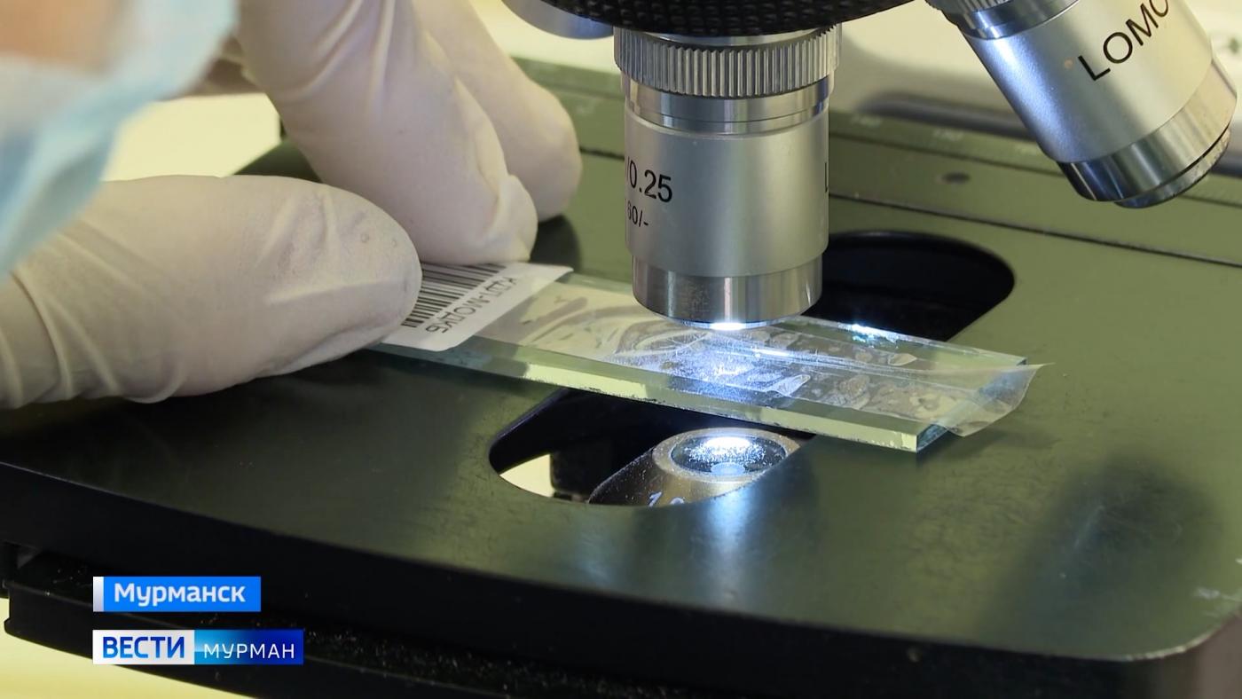 Лабораторная служба Мурманской областной клинической больницы совершенствует качество исследований