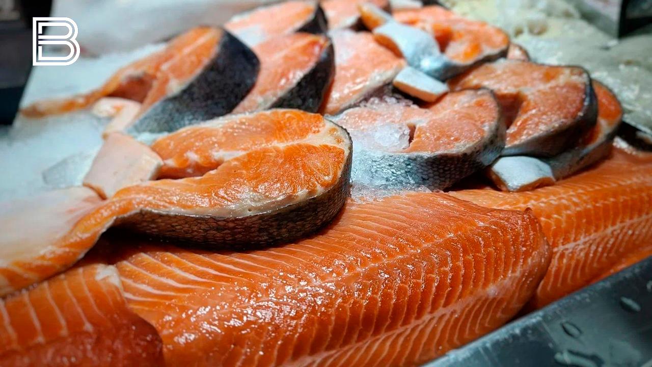 Владимир Путин предложил мер по увеличению доступности рыбы для россиян