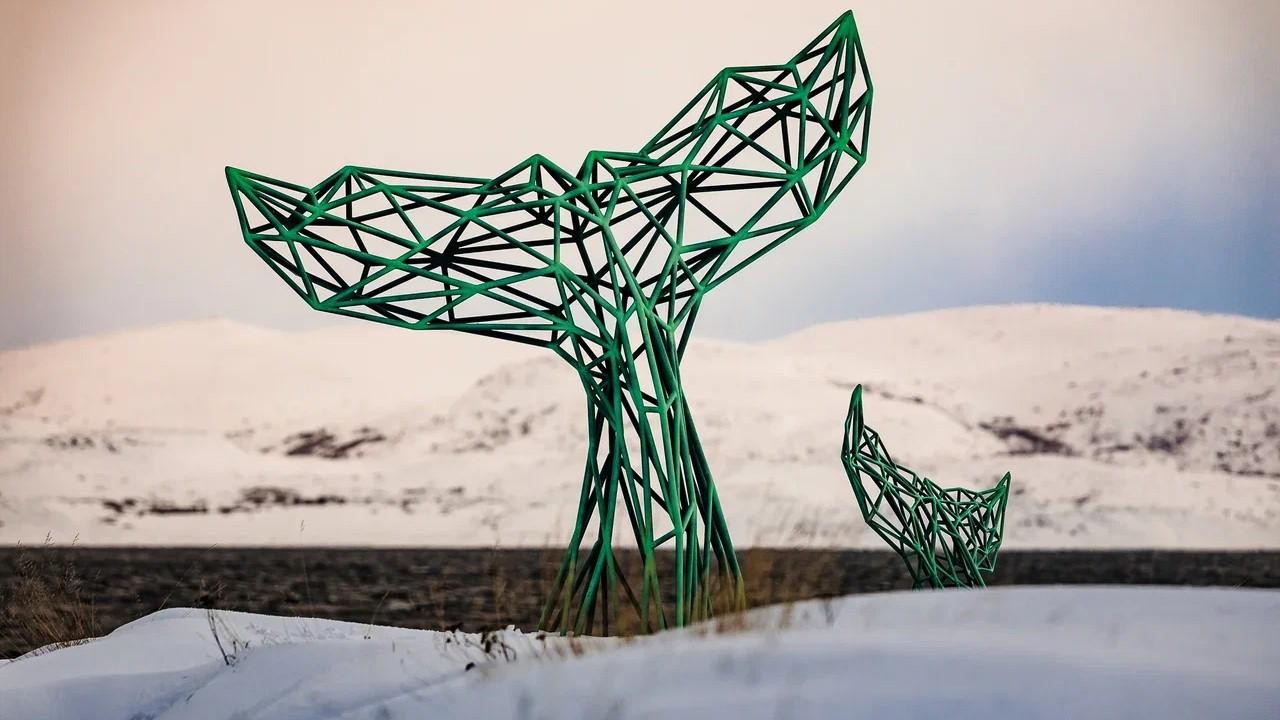 В Мурманской области утвердят правила наблюдения за морскими млекопитающими и птицами