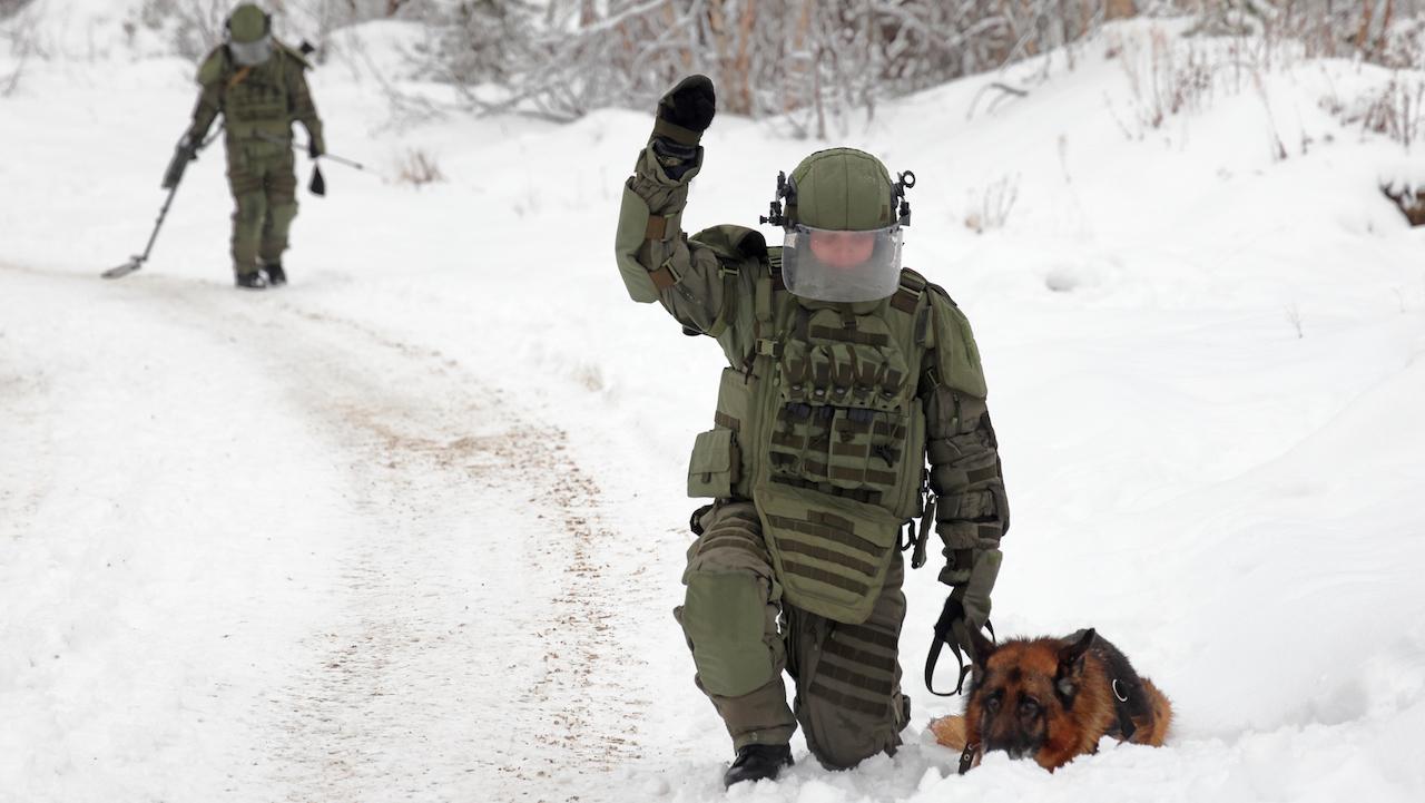 Найти и уничтожить