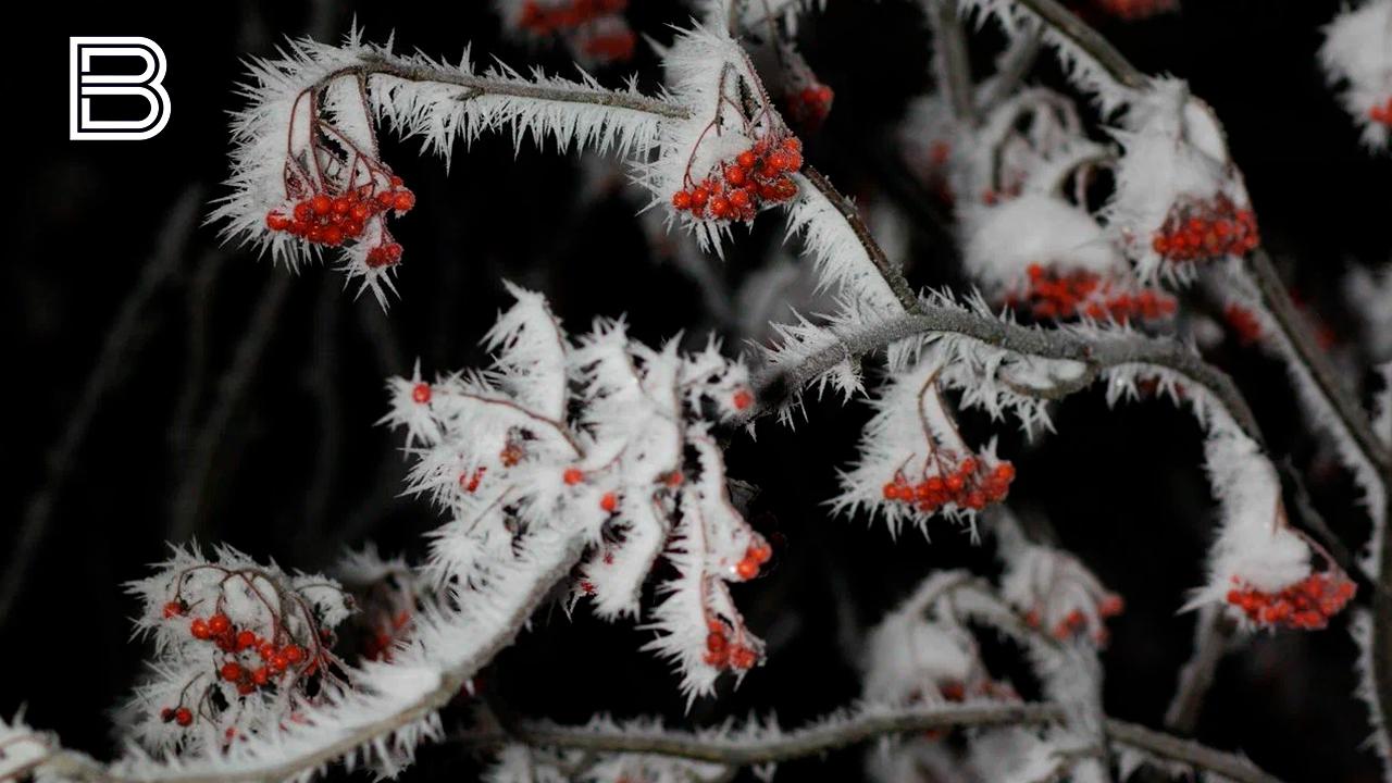 Прогноз погоды по Мурманской области на 6 января